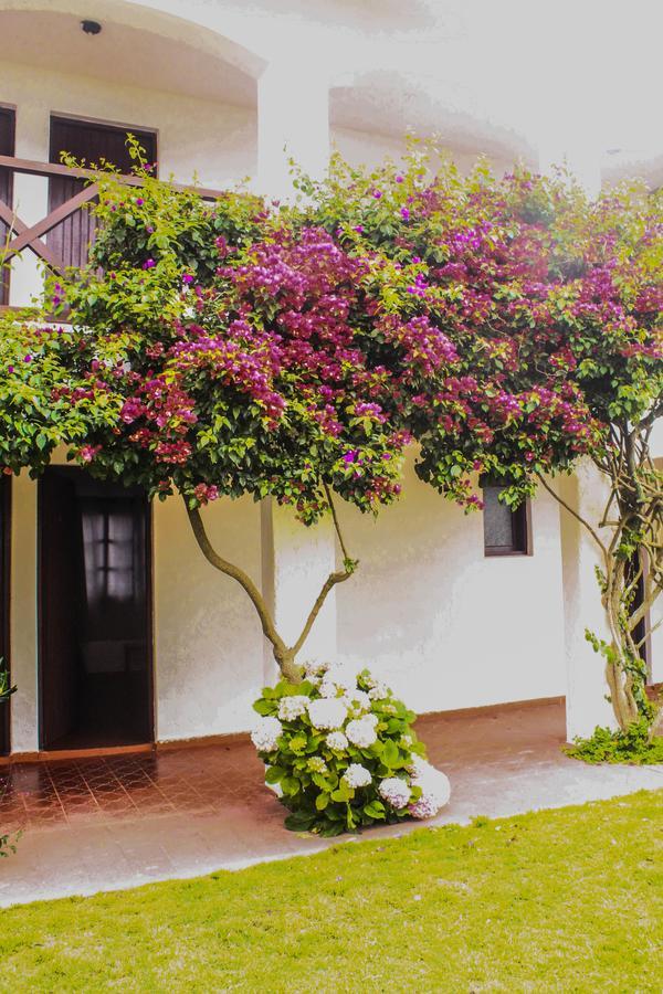 بونتا ديل ديابلو Hotel Del Diablo المظهر الخارجي الصورة